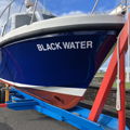 Extra picture for advert 145664