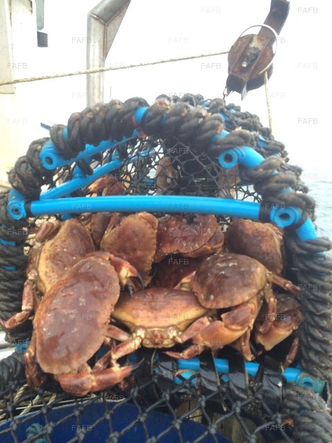 Large picture for advert 59666