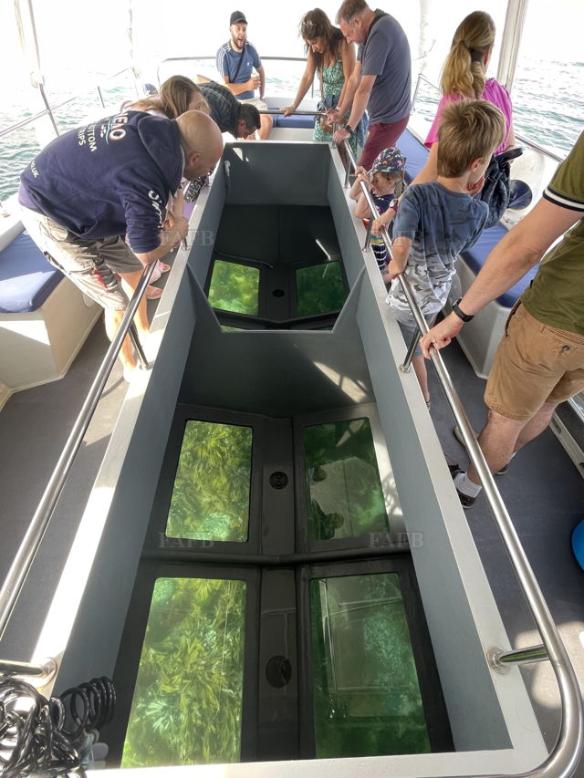 Large picture for advert 144666