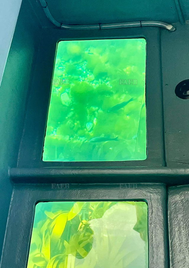 Large picture for advert 144666