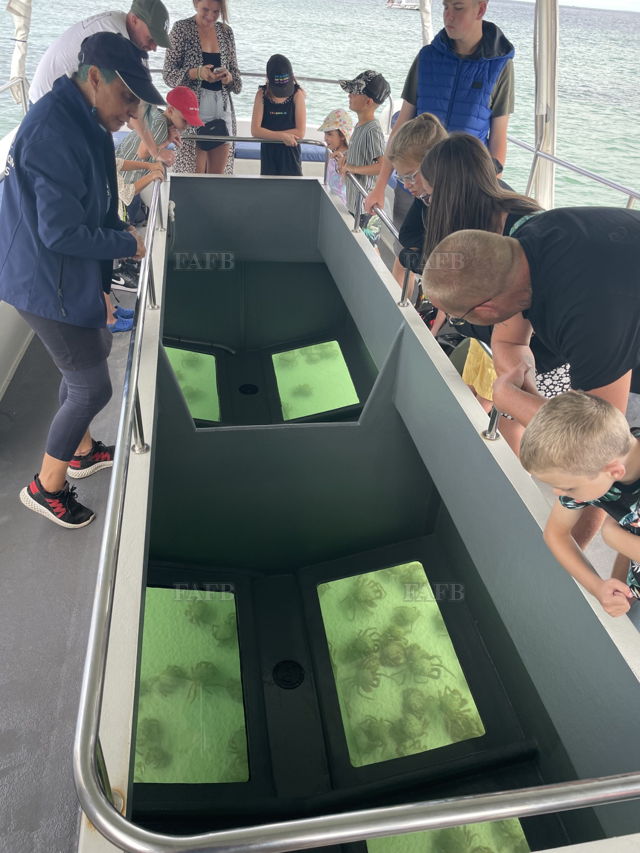 Large picture for advert 144666