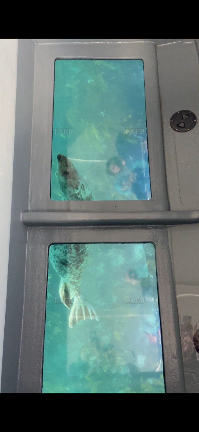 Large picture for advert 144666