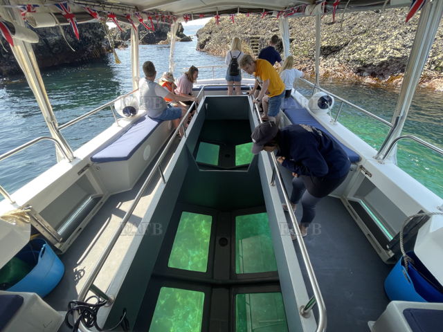 Large picture for advert 144666