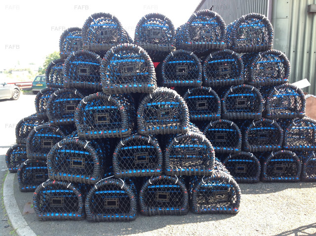 Large picture for advert 59666