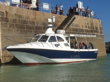 Nemo Glass Bottom Boat