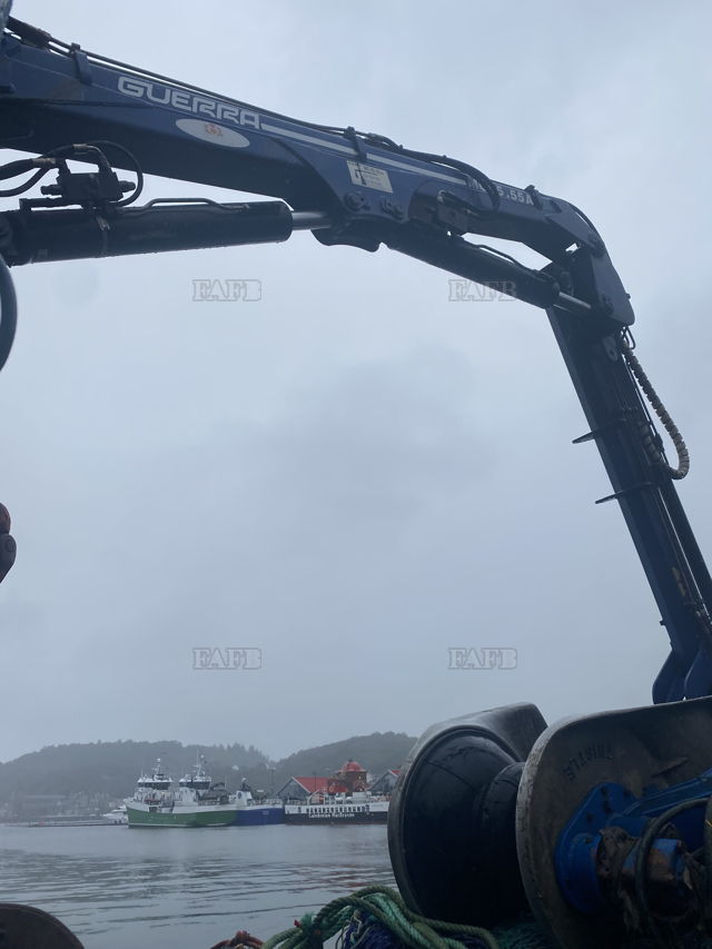 Large picture for advert 144668