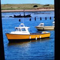 Extra picture for advert 141669