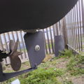 Thumbnail for picture 2