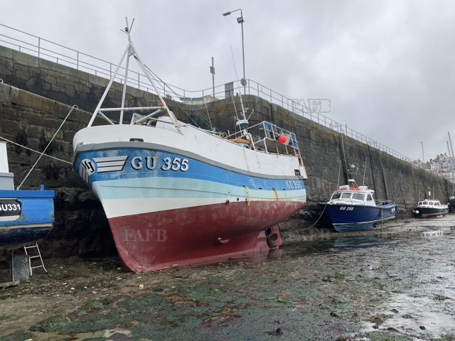 Large picture for advert 136067