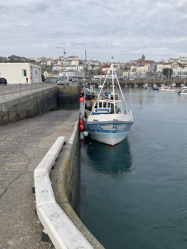 Large picture for advert 136067