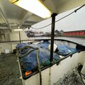 Seine net closing date for offers 31/3/2023 - picture 7