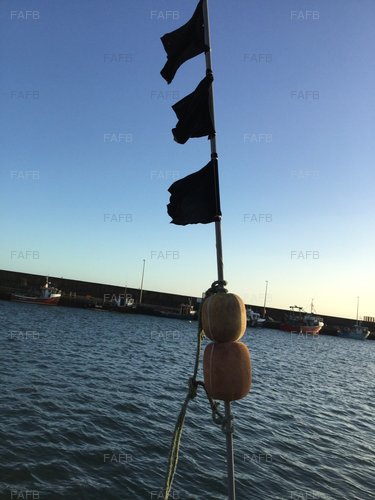 Lobster Pot Poles