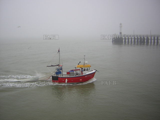 Large picture for advert 143672