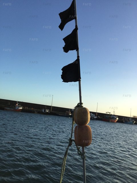 Lobster Pot Poles - picture 1