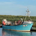 Extra picture for advert 142672