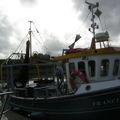 Thumbnail for picture 5