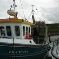 Thumbnail for picture 6