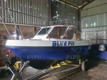 Bluefinn