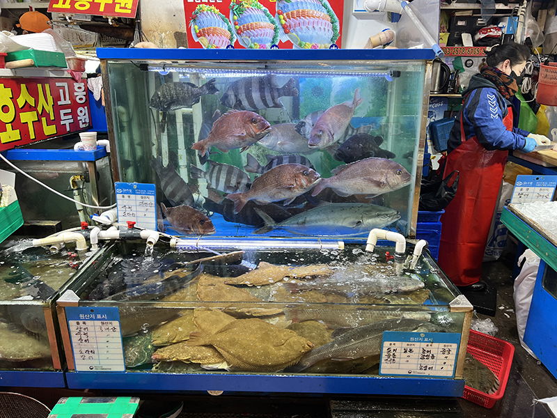 Live fish wanted