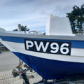 Thumbnail for picture 8