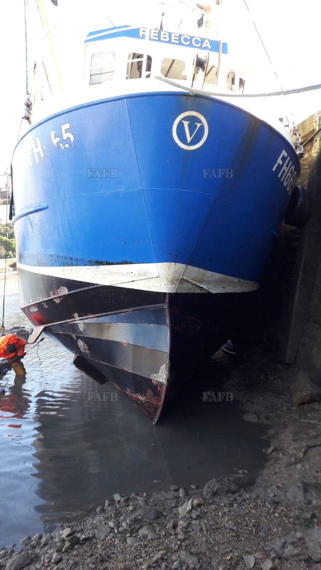 Large picture for advert 137678