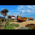 Thumbnail for picture 5