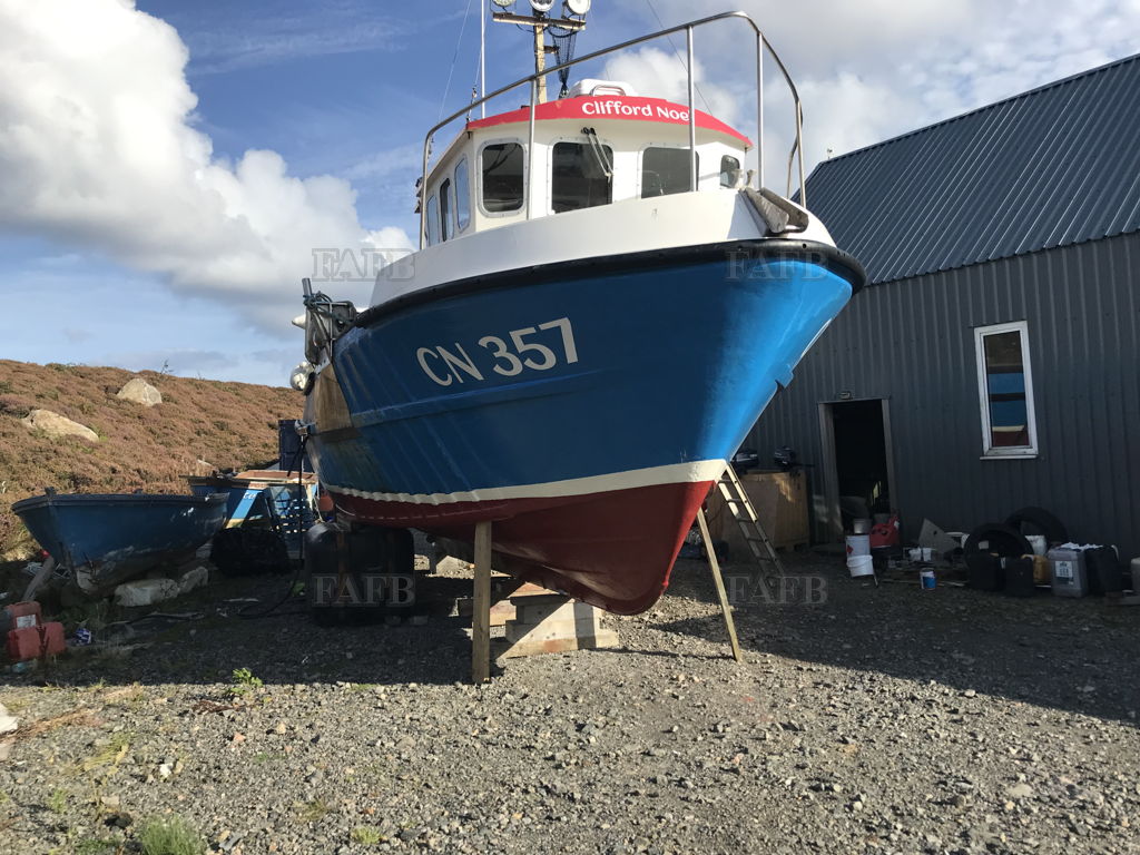 Cyfish 3