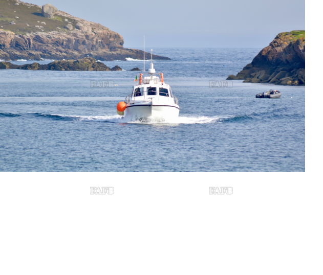 Large picture for advert 147680