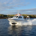 Extra picture for advert 147680