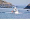 Extra picture for advert 147680