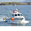 Extra picture for advert 147680