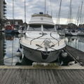 Extra picture for advert 148680