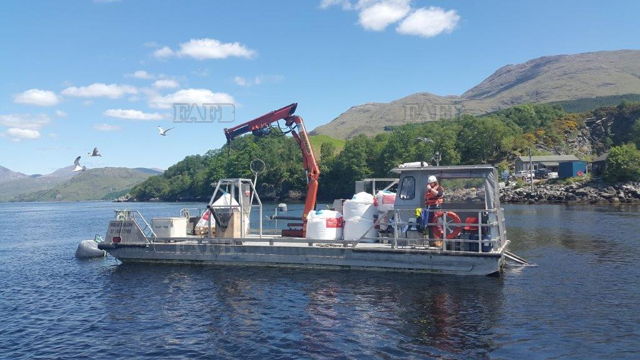 Large picture for advert 143682