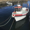 Extra picture for advert 146685