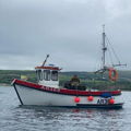 Extra picture for advert 146685