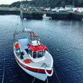 Extra picture for advert 146685
