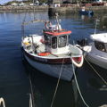 Extra picture for advert 146685
