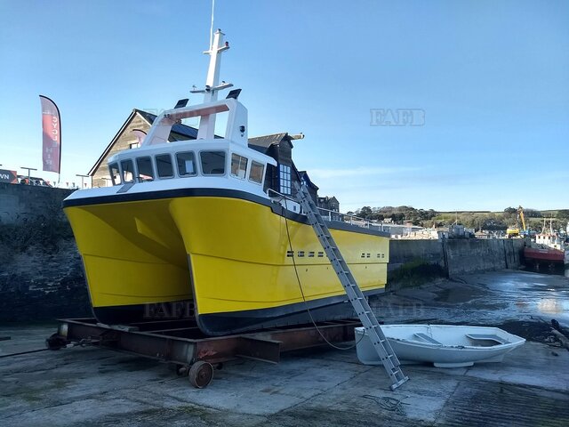 Phoenix Catamaran - 9.9m semi displacement new build - picture 1