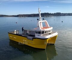 Phoenix Catamaran - 9.9m semi displacement new build - Phoenix Cat - New build - ID:107686