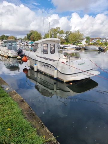 Arvor 215