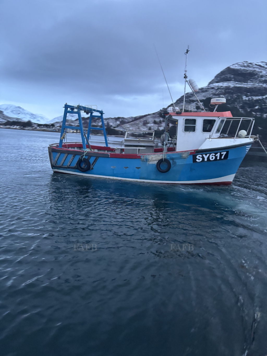 Kingfisher 26