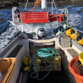 Extra picture for advert 145687