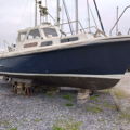 Extra picture for advert 147689
