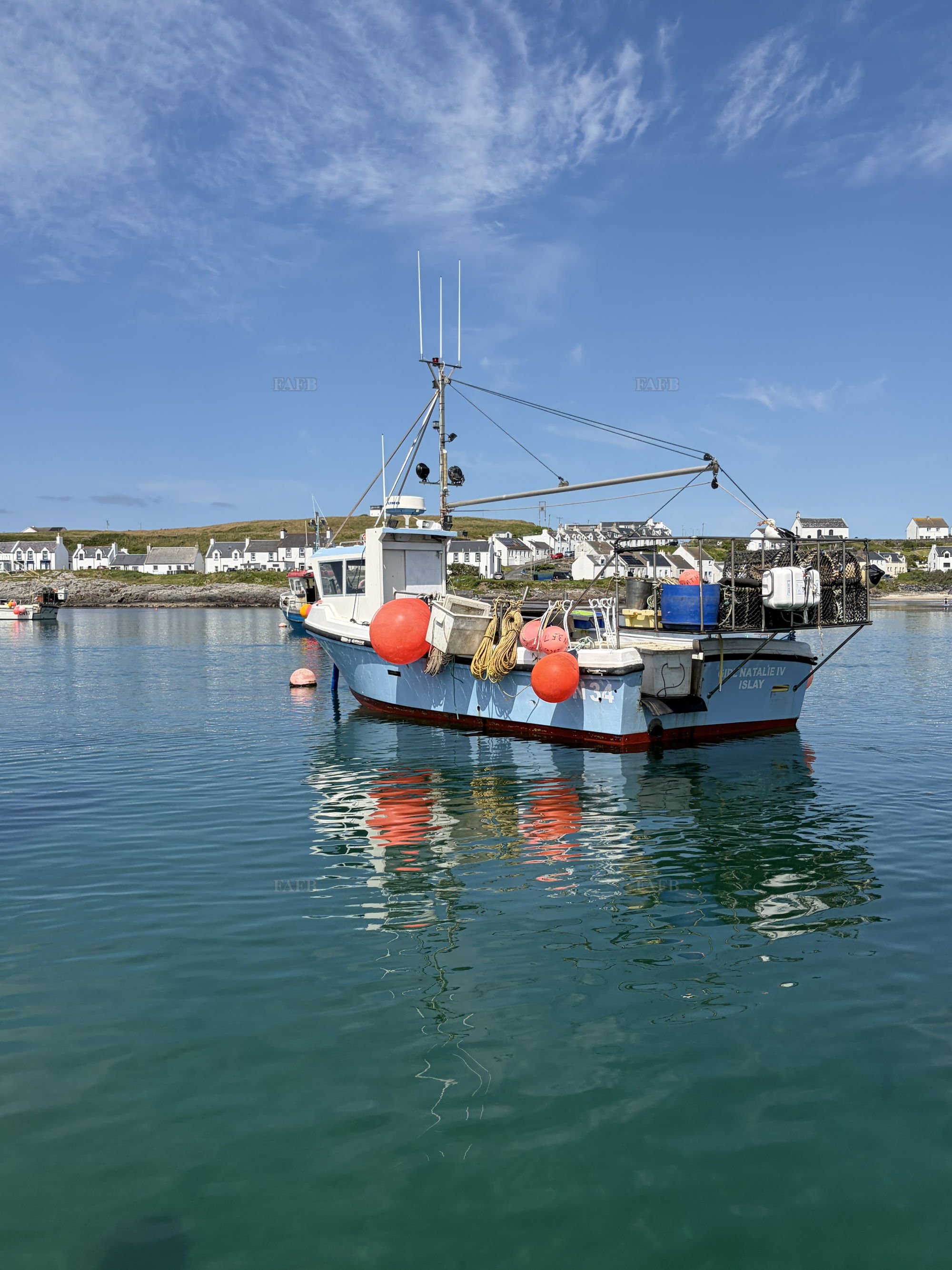 Large picture for advert 147693