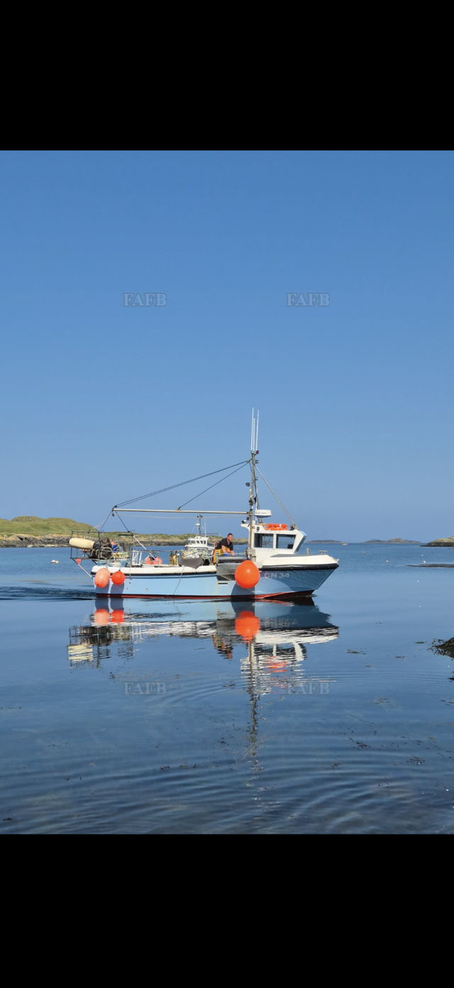 Large picture for advert 147693