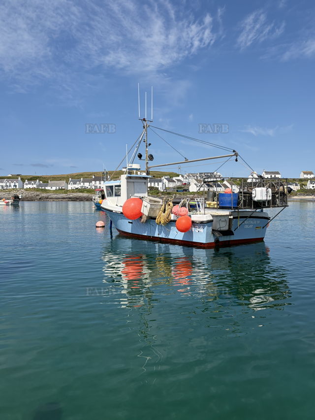Large picture for advert 147693