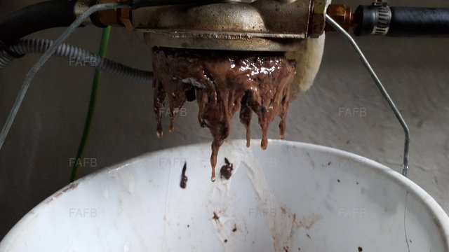 Biocide - Kills Diesel Bug - picture 1