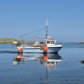 Extra picture for advert 147693