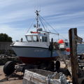 Extra picture for advert 147693