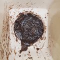 Biocide - Kills Diesel Bug - picture 3